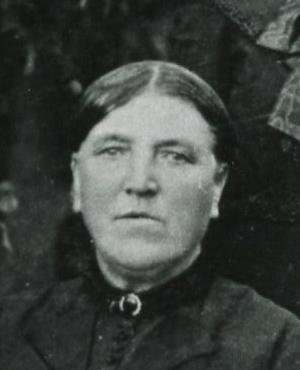 Gwenlillian Jeremiah Davies (1838 - 1910) Profile